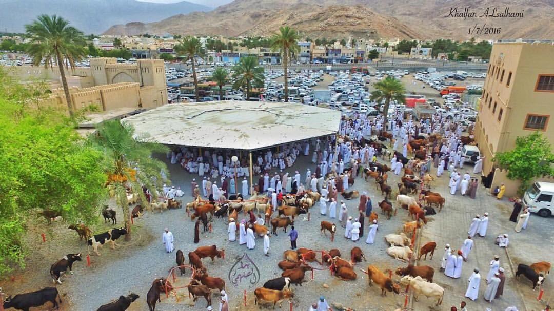 Omani *