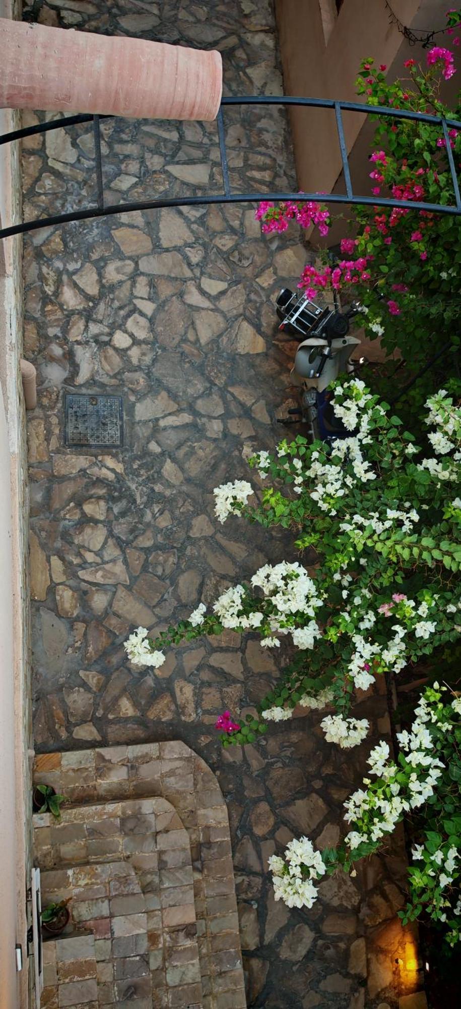 Omani Appartement